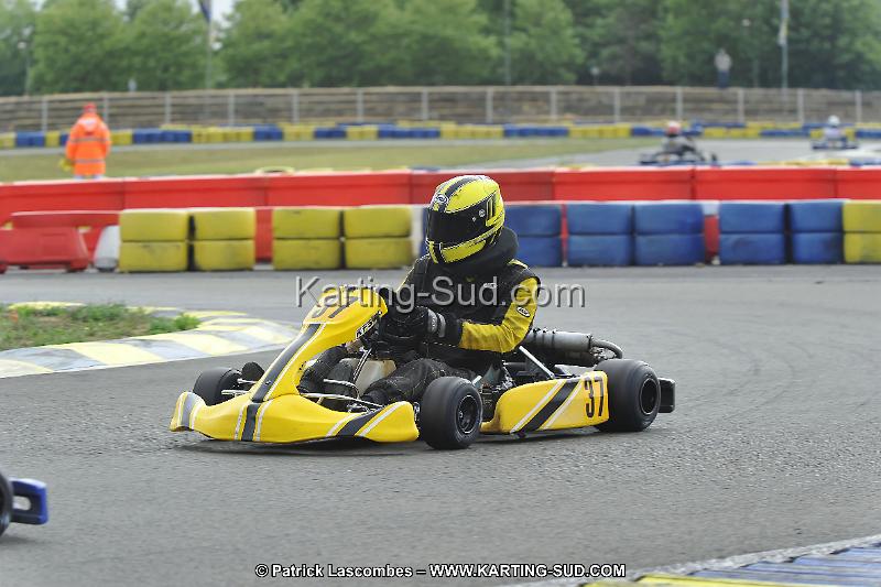 DSC_ (1234).jpg